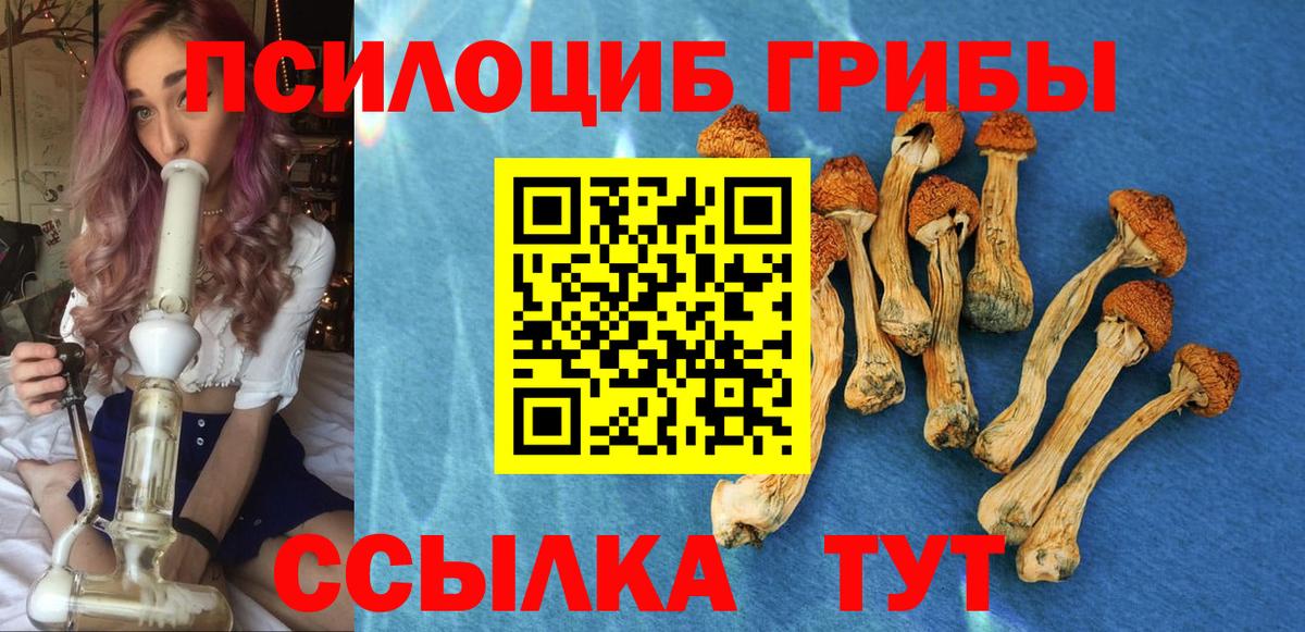 Партизанск  Галлюциногенные грибы MAGIC MUSHROOMS  Вход с VPN 