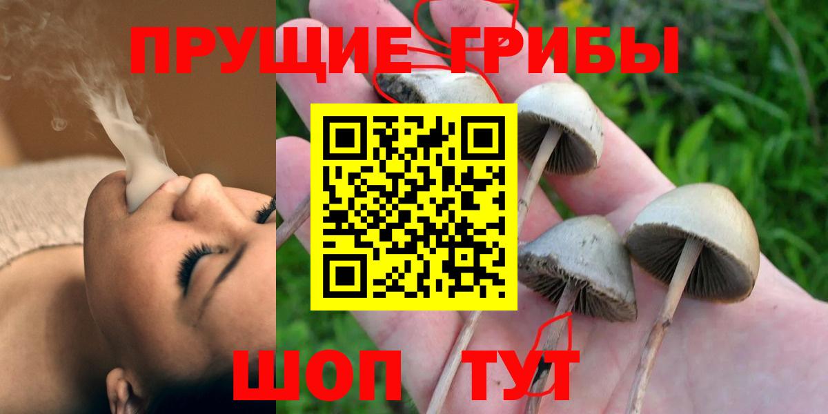 Галлюциногенные грибы ЛСД Партизанск