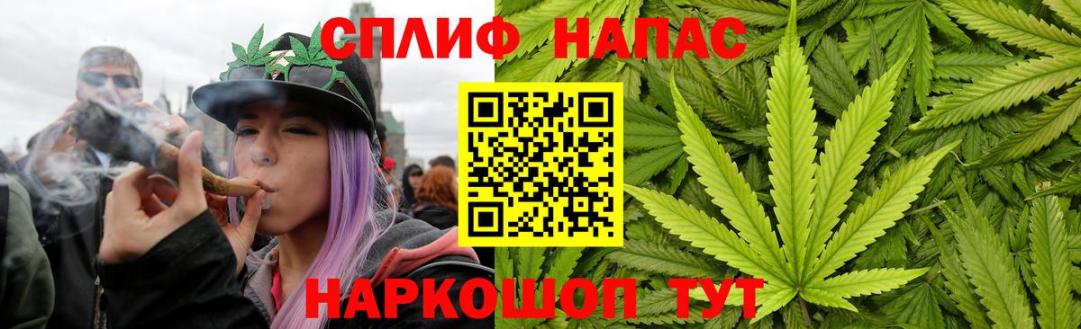 Конопля конопля Партизанск